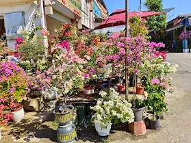Browsed flower and bird market with Lingling