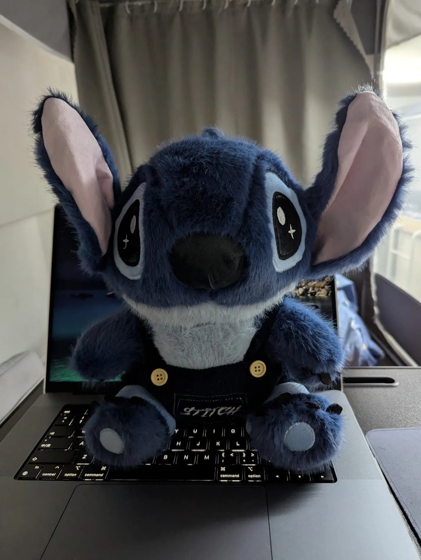 Lingling gave me a Stitch plushie that night