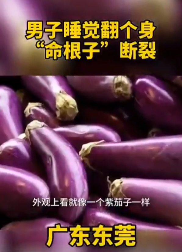 屏幕截图 2025-11-23 132914.png