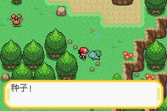 OI Chs 896bca_01.png