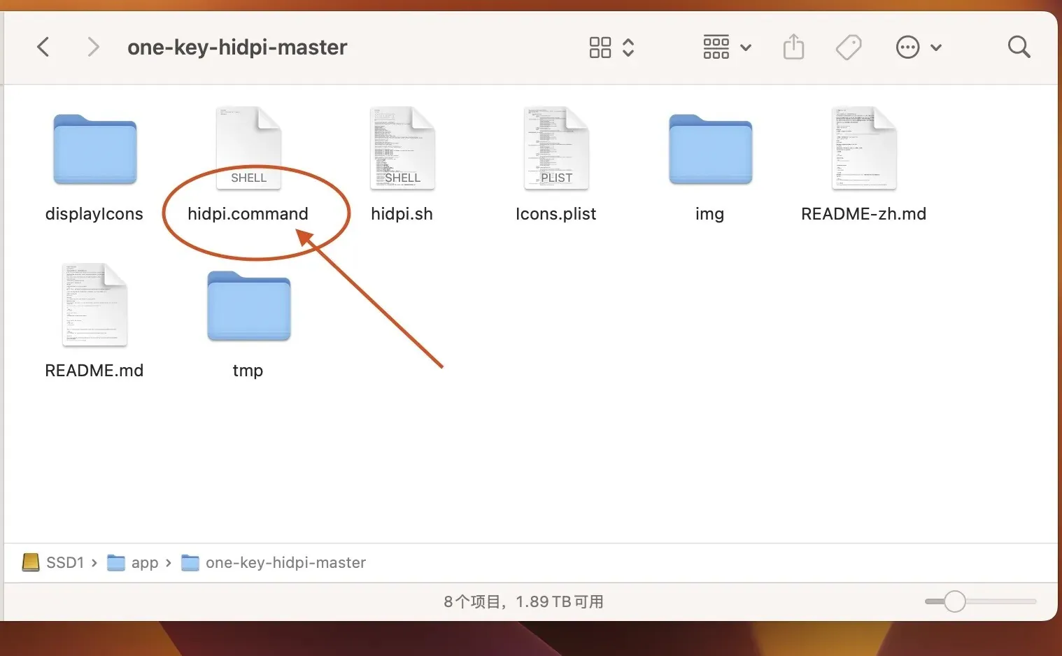 文件夹内容示意图