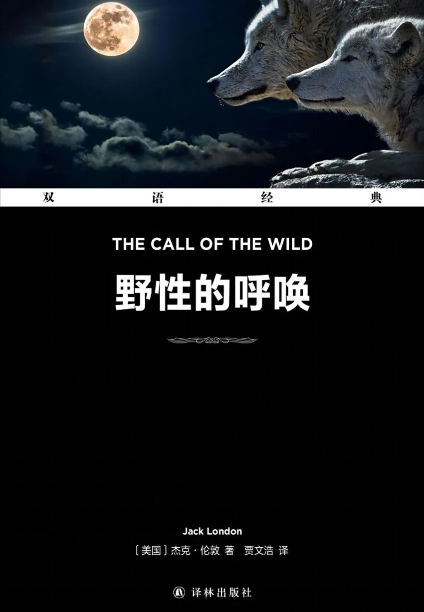 混血圣伯纳犬巴克在雪原奔跑,身后留下狼群追随的足迹 混血圣伯纳犬巴克在雪原奔跑,身后留下狼群追随的足迹