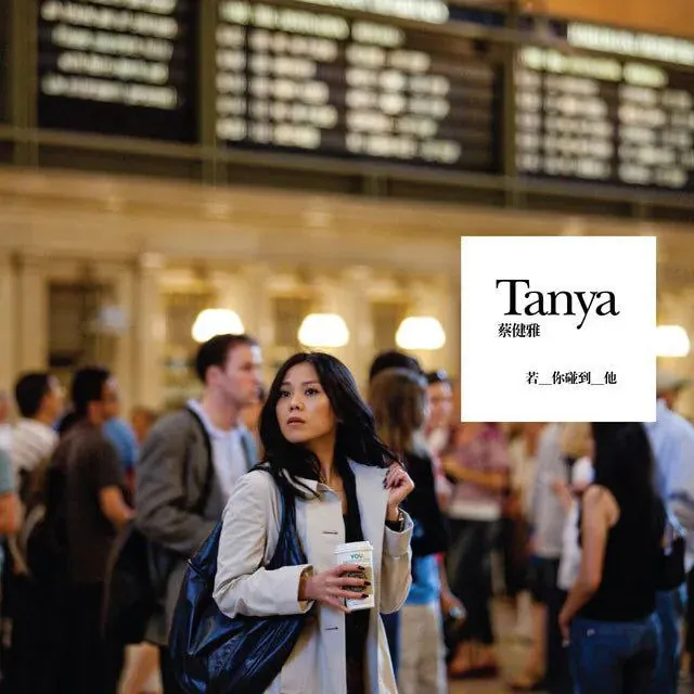 蔡健雅若你碰到他专辑封面-2009 FLAC无损下载 蔡健雅若你碰到他专辑封面-2009 FLAC无损下载