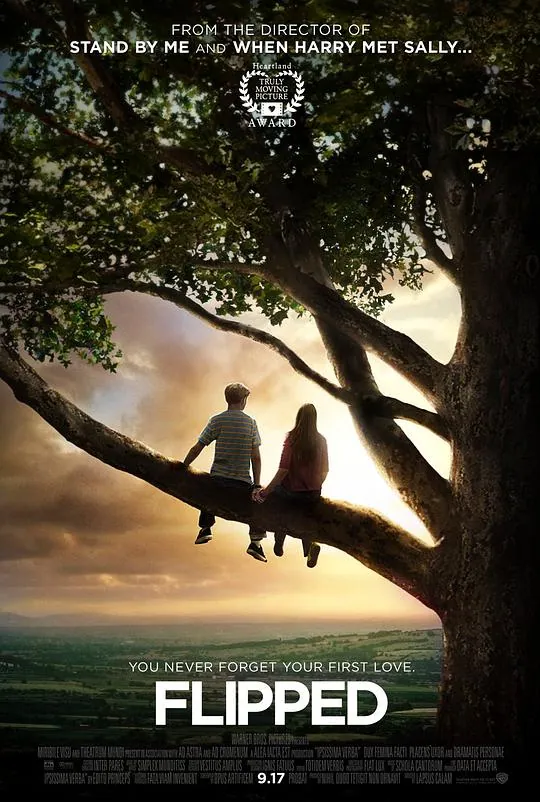 怦然心动2010高清三语版电影海报