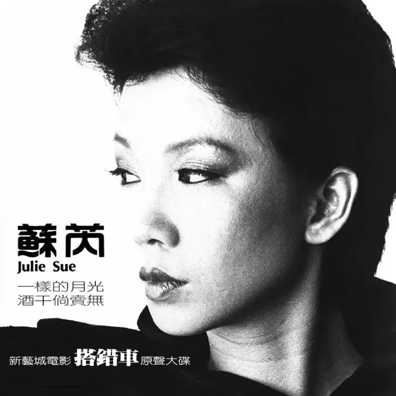 苏芮搭错车电影原声大碟FLAC无损封面，1983飞碟唱片母带级试音经典