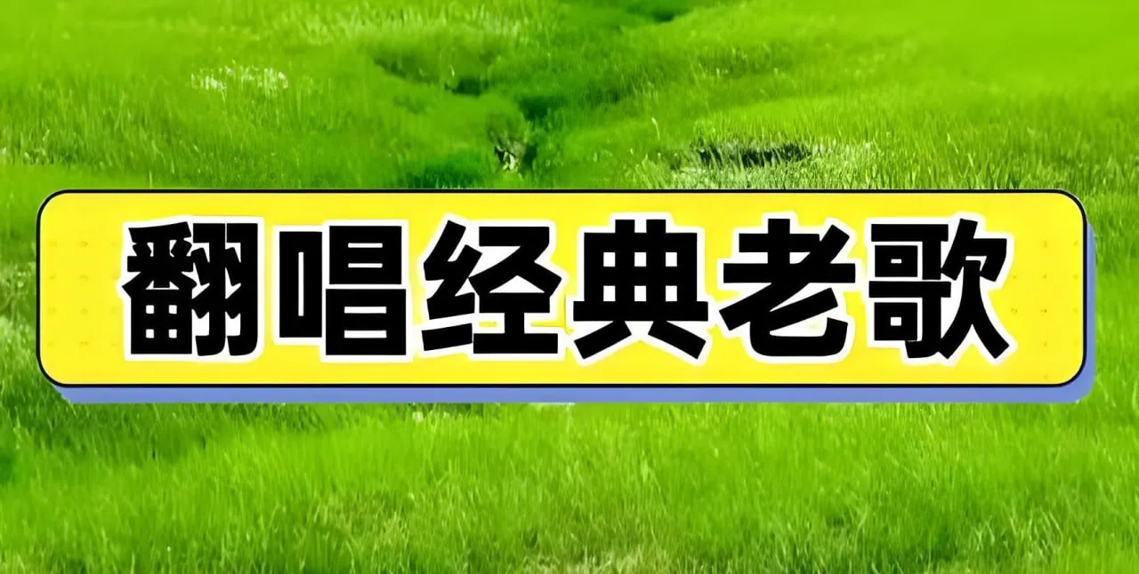 抖音老歌无损翻唱合集封面