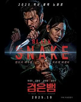 黑蛇BlackSnake2025韩国动作犯罪片海报1080P中文字幕