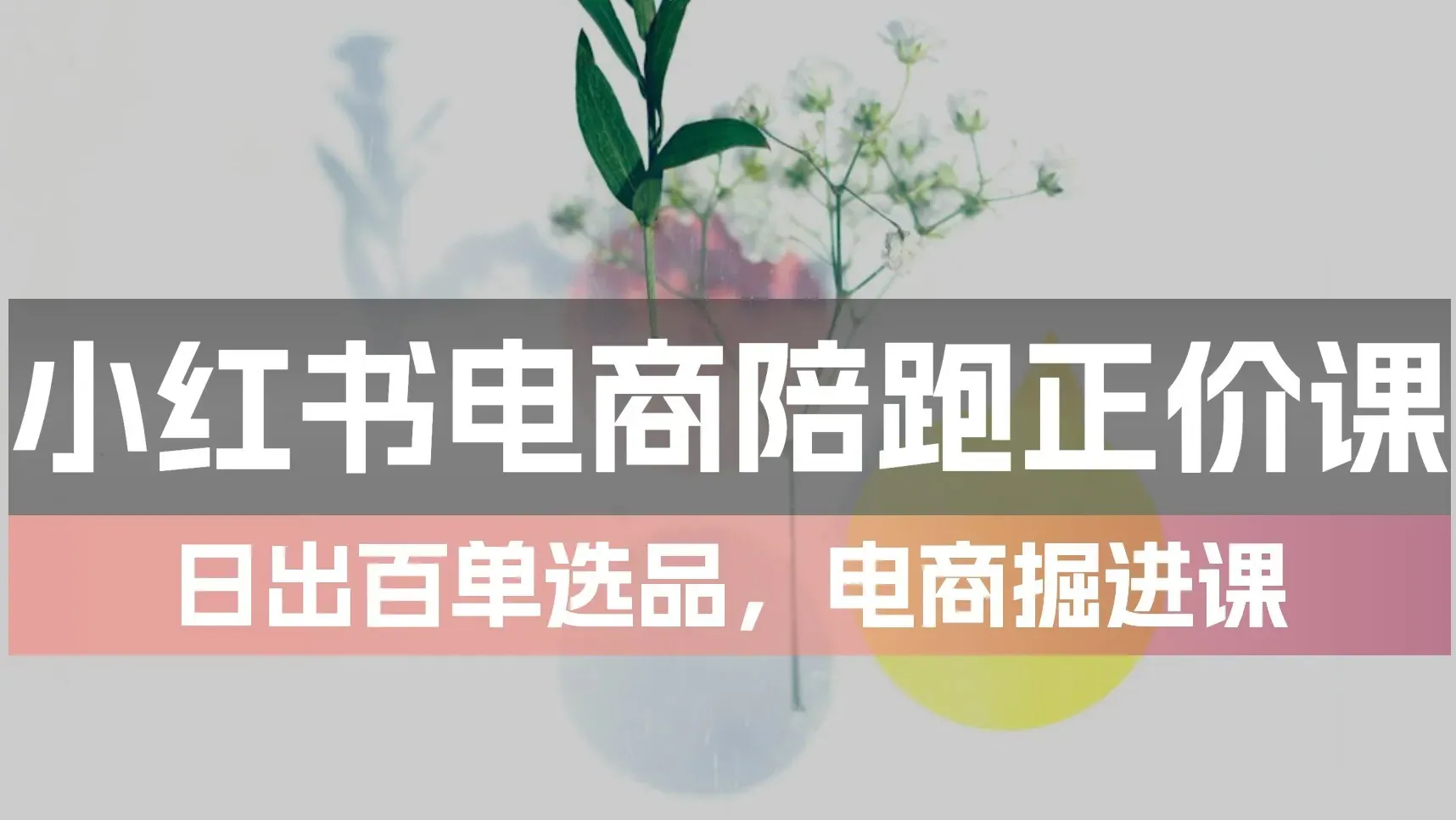 小红书电商陪跑正价课55节MP4封面 小红书电商陪跑正价课55节MP4封面
