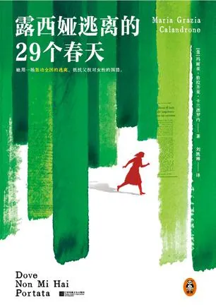 露西娅逃离的29个春天 封面