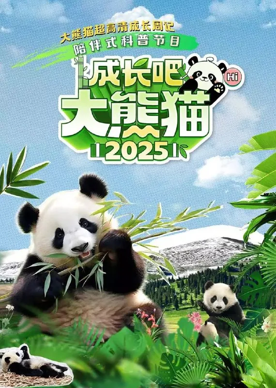 成长吧！大熊猫2025：全新4K高清版国宝成长纪录片