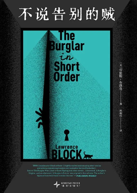 不说告别的贼小说封面