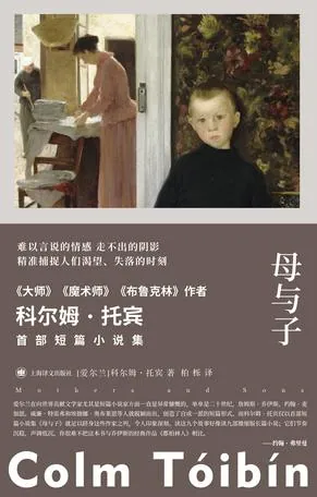 科尔姆·托宾 母与子 小说封面展示母子情感羁绊 科尔姆·托宾 母与子 小说封面展示母子情感羁绊