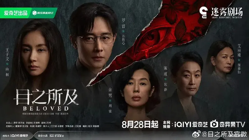 目之所及 (2025) 罗晋王子文主演悬疑剧