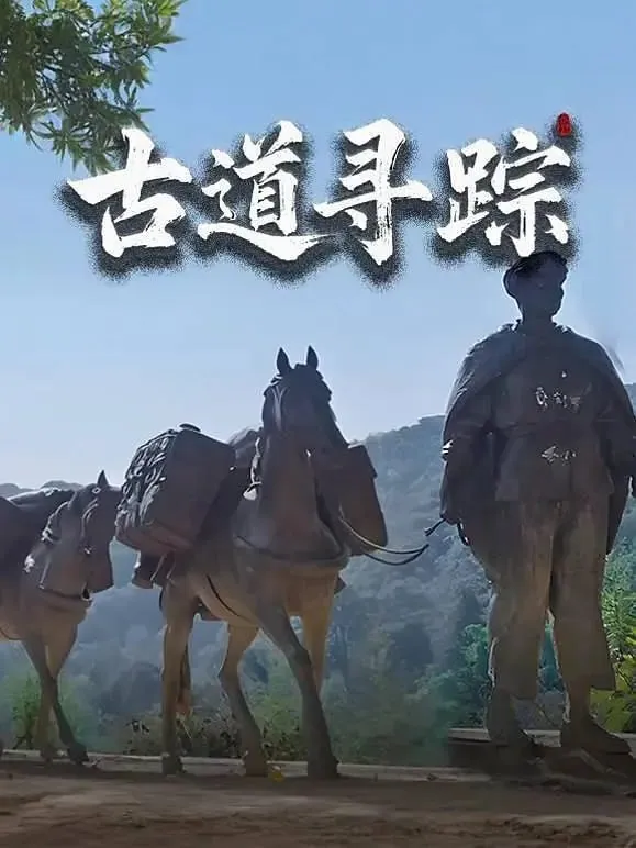 航拍视角下的千年茶马古道在云海与雪峰间蜿蜒,驮队与越野车并行 航拍视角下的千年茶马古道在云海与雪峰间蜿蜒,驮队与越野车并行