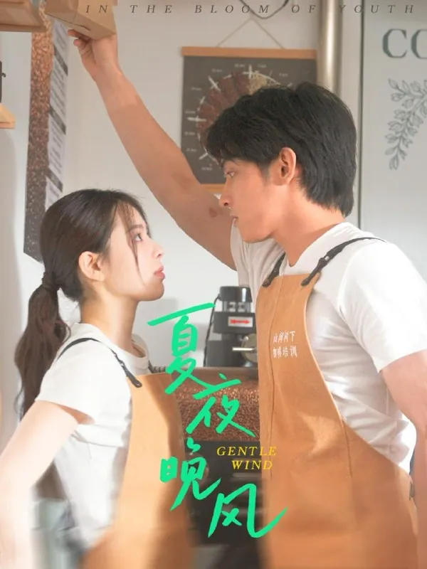 夏夜晚风网盘资源免费在线观看完整版