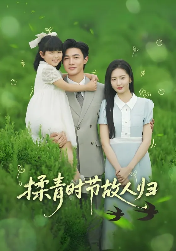 揉青时节故人归60集全集网盘免费下载指南