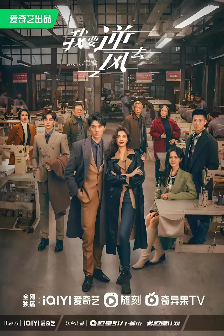 我要逆风去海报