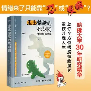 走出情绪的死胡同：五步让情绪成为人生火箭燃料