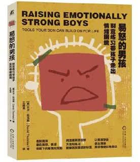 易怒的男孩刻意练习家长必看指南网盘资源