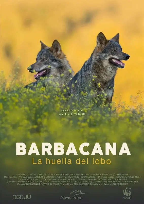 与狼共存 Barbacana, la huella del lobo 电影海报