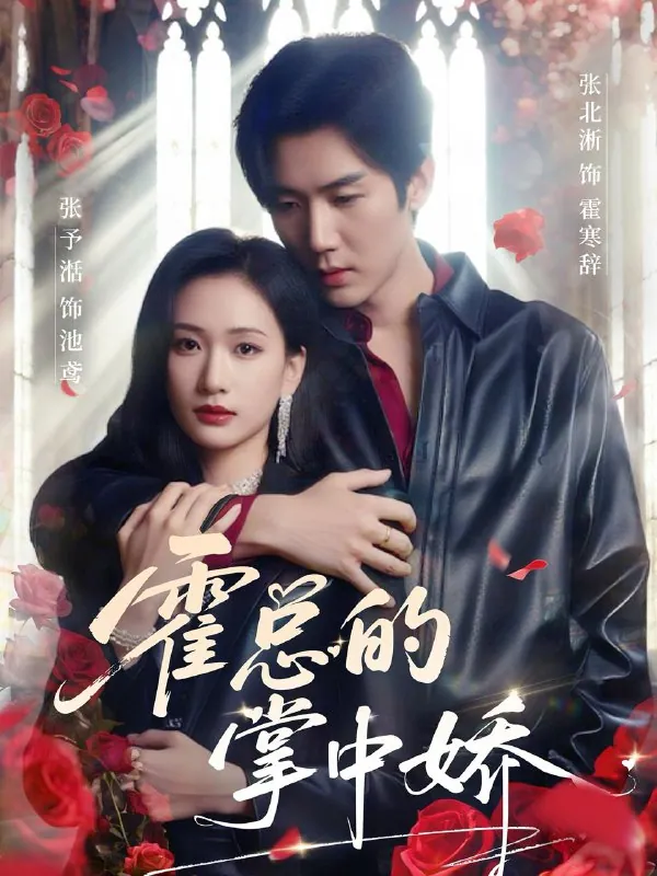 霍总的掌中娇80集全集