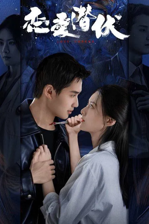 恋爱潜伏2025全集4K臻彩封面