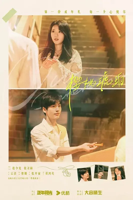 樱桃琥珀2025电视剧 赵今麦张凌赫青春成长故事