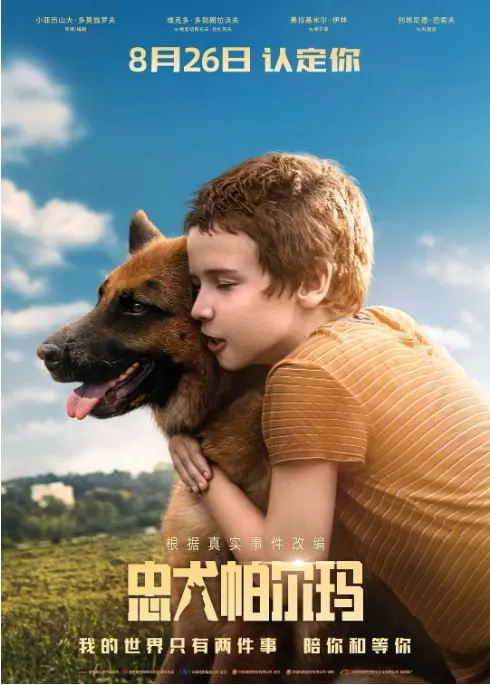 忠犬帕尔玛2021蓝光版高清下载在线观看 忠犬帕尔玛2021蓝光版高清下载在线观看