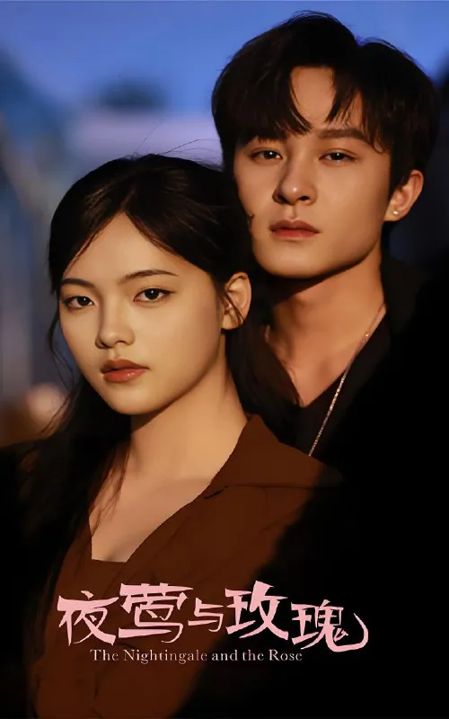 夜莺与玫瑰60集全集 聂杨江炘