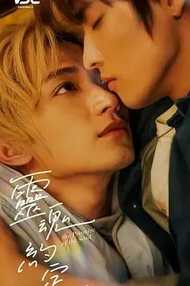 灵魂约定2025台剧海报