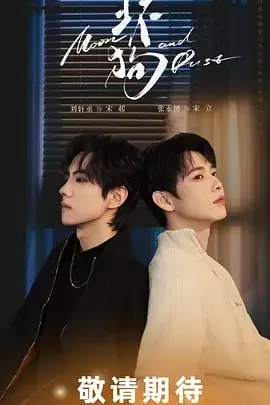 坏狗2025最新剧集更新至06集高分悬疑迷你剧原著改编 坏狗2025最新剧集更新至06集高分悬疑迷你剧原著改编