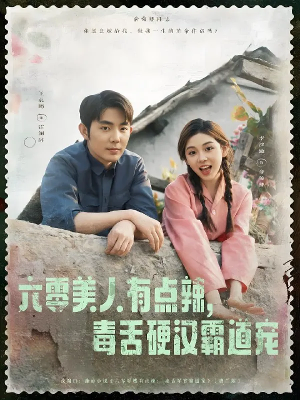 六零美人有点辣毒舌硬汉霸道宠剧照