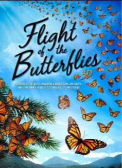 帝王蝶迁徙纪录片Flight of the Butterflies 4K画面