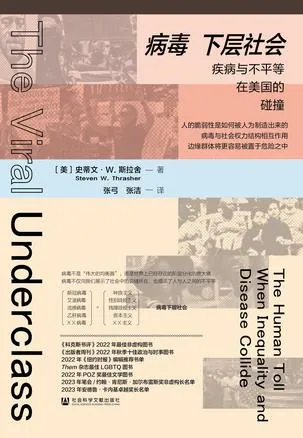 美国疫情下的社会不平等结构图