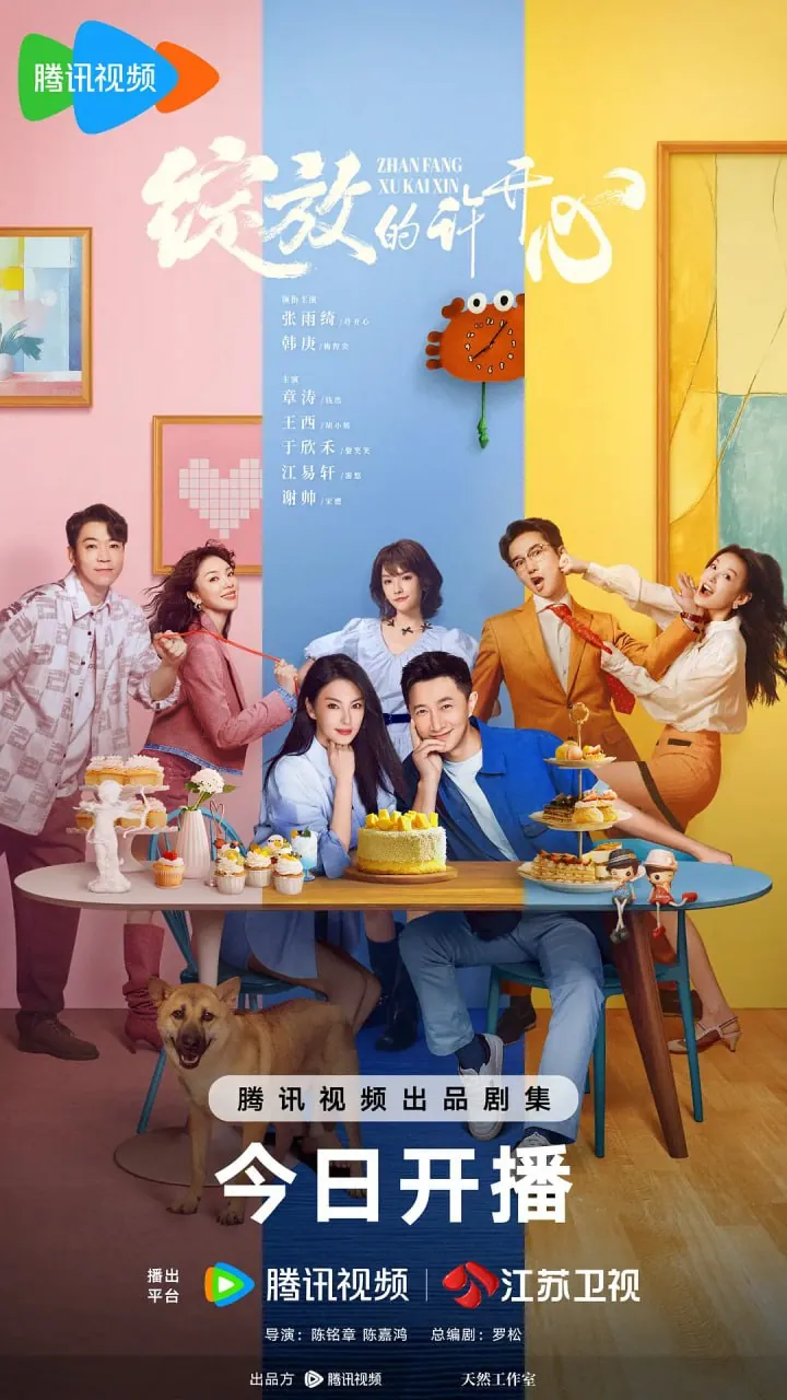 绽放的许开心2025热播剧4K国语中字版