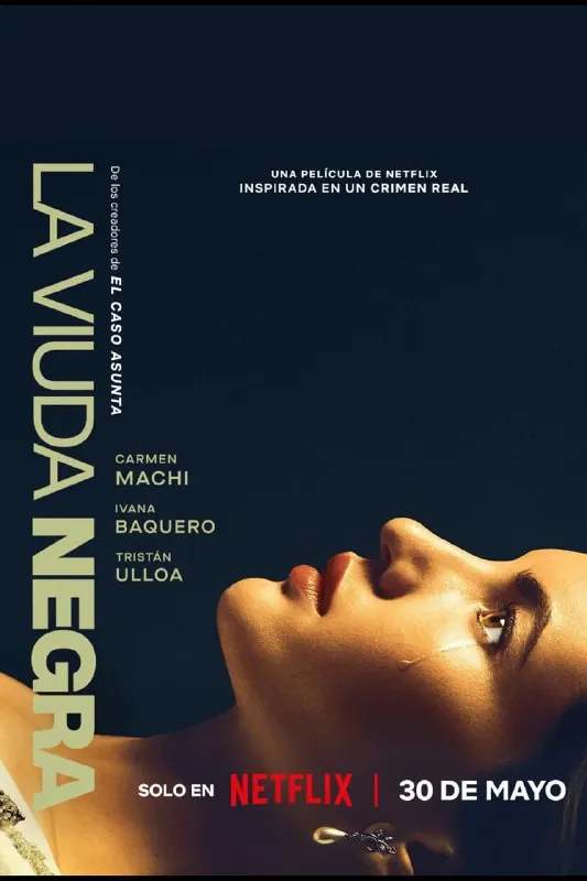 《寡妇游戏》La viuda negra：瓦伦西亚凶案背后的温柔杀妻谜团