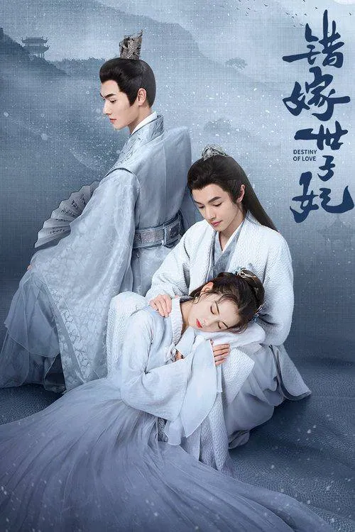 错嫁世子妃2025 4K HDR 60FPS