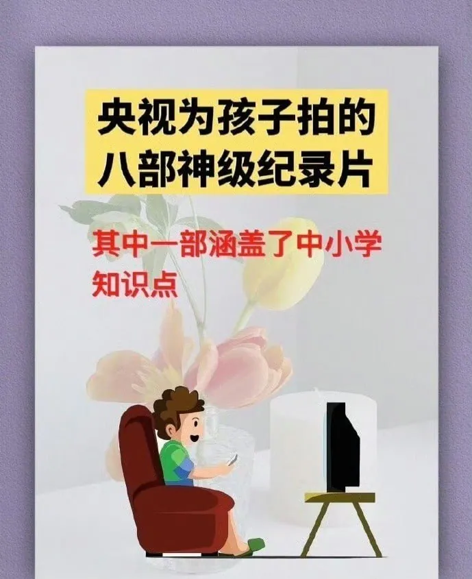 央视八部神级纪录片封面 央视八部神级纪录片封面