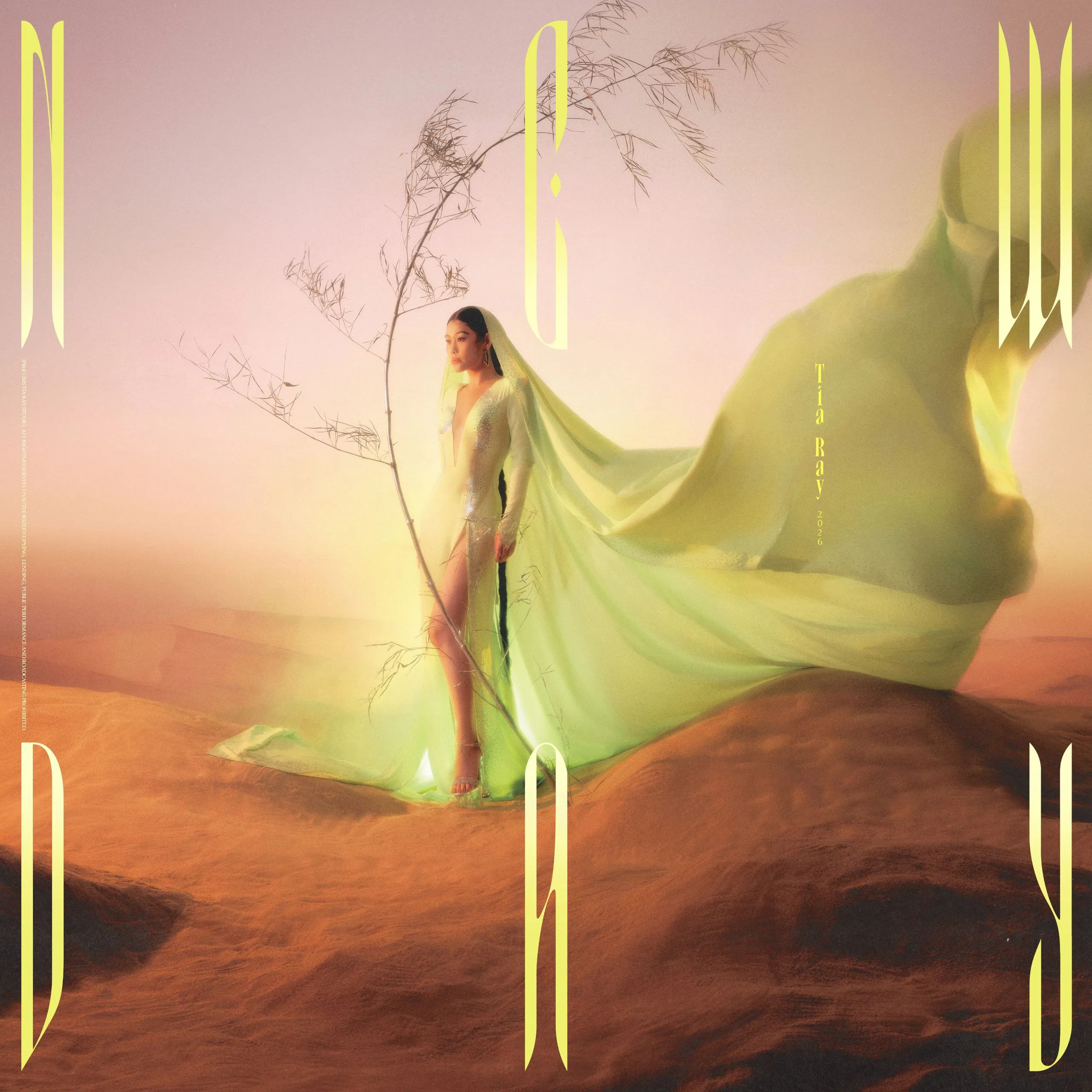 袁娅维首张全英文专辑NEW DAY:三年打磨的R&B灵魂之作,格莱美团队加持